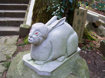 20060423-03.jpg