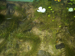 20060701-02.jpg