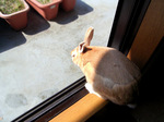 20080329-01.jpg