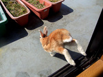 20080329-02.jpg