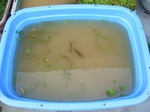 20080720-01.jpg