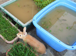 20080720-03.jpg