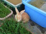 20080720-04.jpg