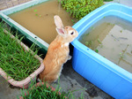 20080720-05.jpg