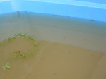 20080720-06.jpg