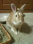 20100513-04.jpg