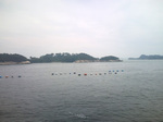 20100719-04.jpg