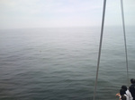 20100719-09.jpg