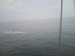 20100719-10.jpg