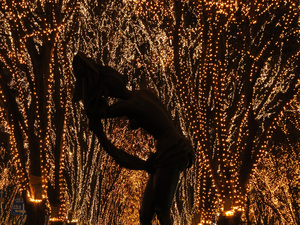 20111214-11.jpg