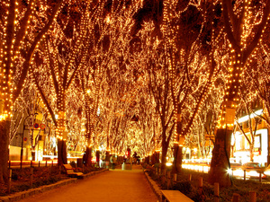 20111214-15.jpg