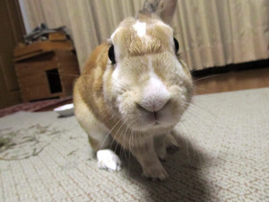 20111214-18.jpg