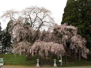 20130421-01.jpg