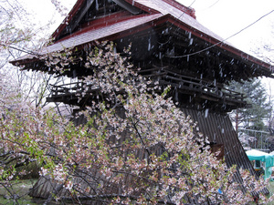 20130421-07.jpg