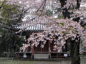 20130421-10.jpg