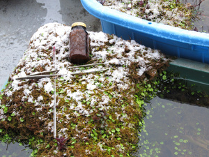 20130421-12.jpg