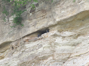 20130602-01.jpg