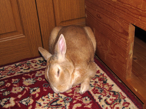 20130602-02.jpg