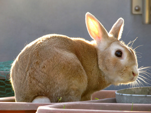 20130602-03.jpg