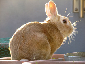 20130602-04.jpg