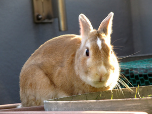 20130602-05.jpg