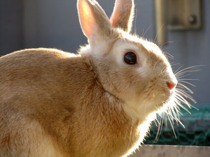 20130602-06.jpg