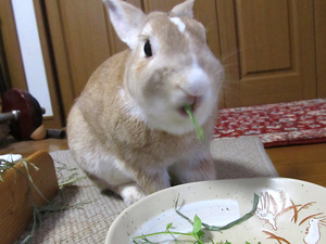 20130728-02.jpg