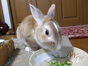 20130728-03.jpg