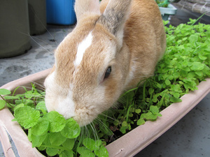 20130728-05.jpg