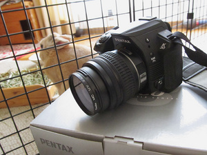20130804-01.jpg