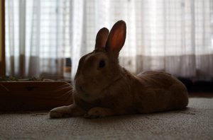 20130804-02.jpg