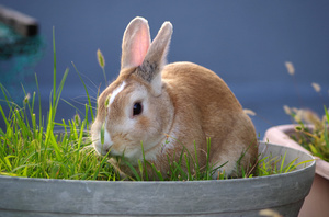 20130804-05.jpg