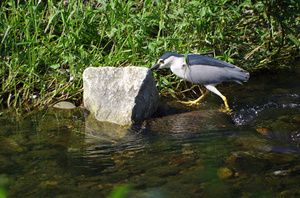20130804-13.jpg