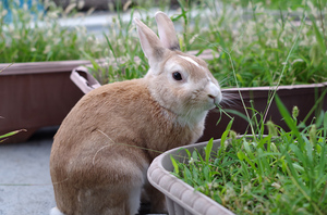20130908-02.jpg