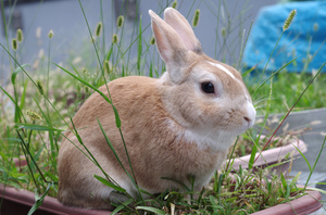 20130908-06.jpg