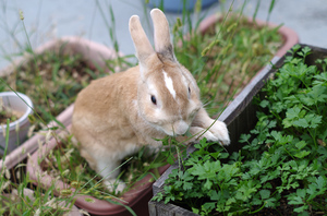 20130908-08.jpg