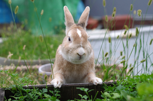 20130908-10.jpg