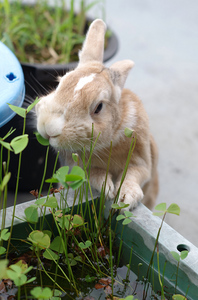20130908-12.jpg