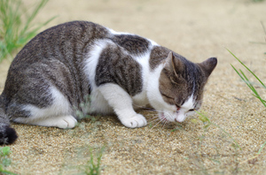 20130908-14.jpg