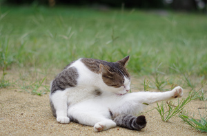 20130908-15.jpg