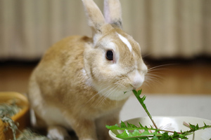20131001-01.jpg