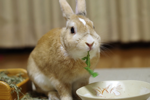 20131001-03.jpg