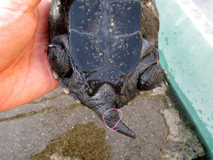 20131001-14.jpg