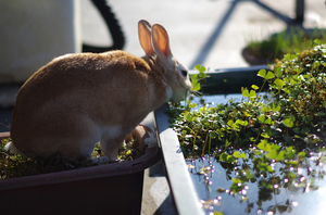20131030-04.jpg