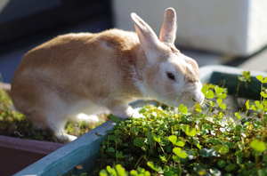 20131030-05.jpg