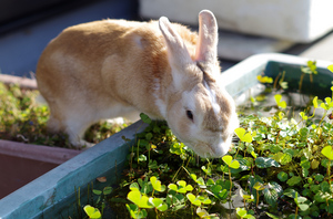 20131030-06.jpg