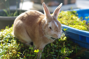 20131030-09.jpg