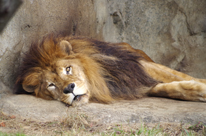 20131104-02.jpg