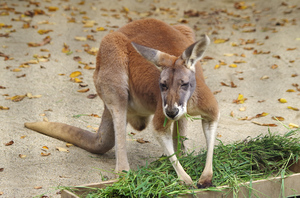20131104-07.jpg