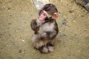 20131104-11.jpg